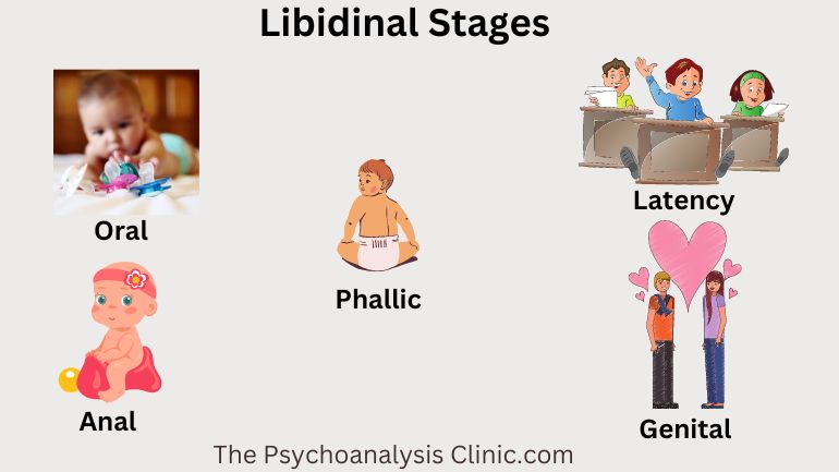 Libidinal Development Stages