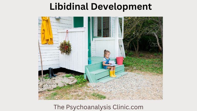 Libidinal Development